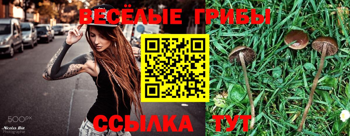 Псилоцибиновые грибы ЛСД Острогожск