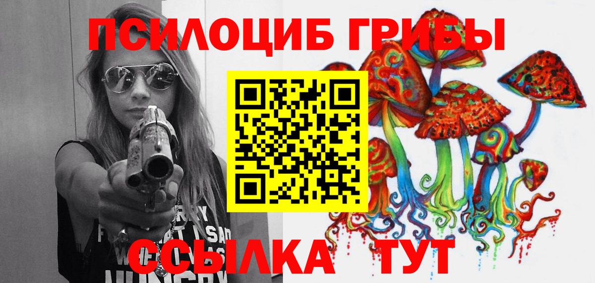 Галлюциногенные грибы Psilocybe  Вход с VPN  Острогожск  Псилоцибиновые грибы прущие грибы 